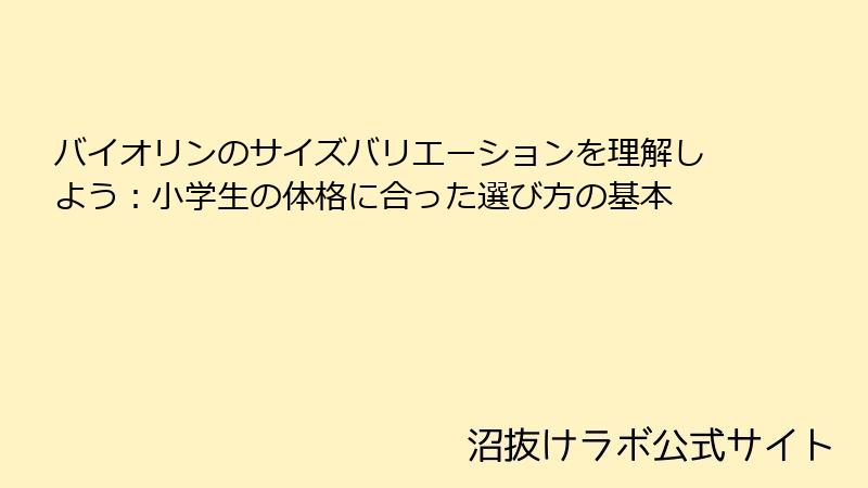 バイオリンのサイズバリエーションを理解しよう：小学生の体格に合った選び方の基本