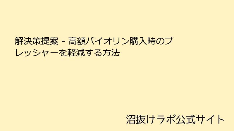 解決策提案 - 高額バイオリン購入時のプレッシャーを軽減する方法