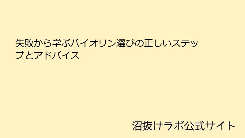 失敗から学ぶバイオリン選びの正しいステップとアドバイス