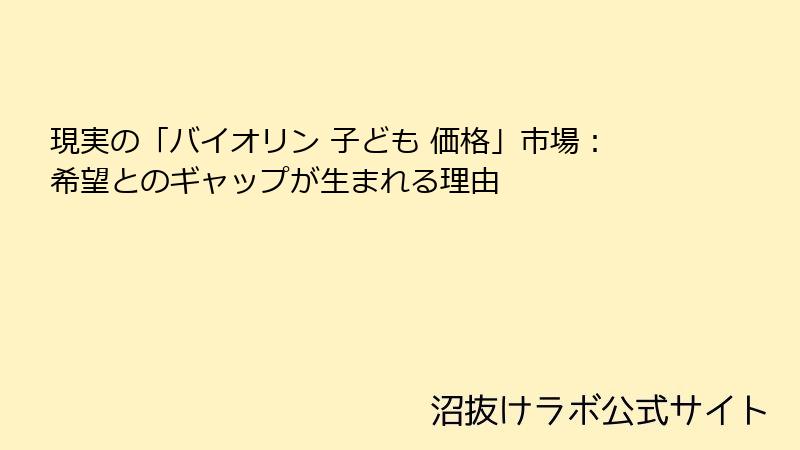 現実の「バイオリン 子ども 価格」市場：希望とのギャップが生まれる理由
