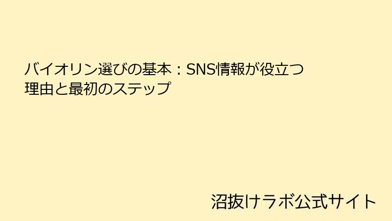 バイオリン選びの基本：SNS情報が役立つ理由と最初のステップ