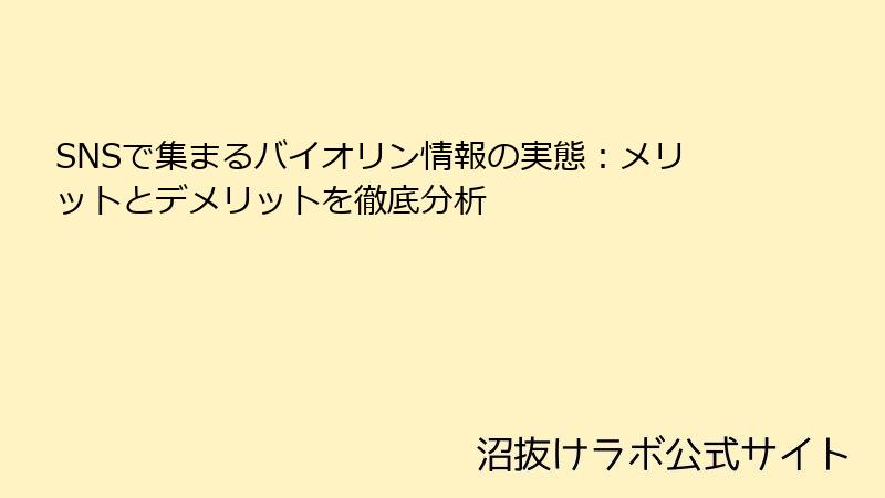 SNSで集まるバイオリン情報の実態：メリットとデメリットを徹底分析