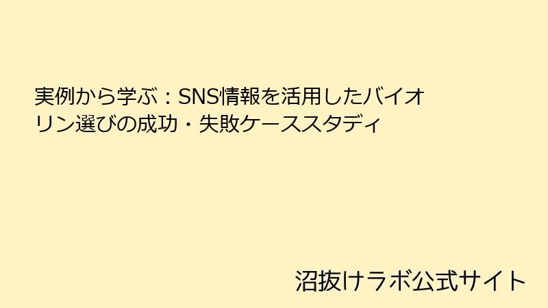 実例から学ぶ：SNS情報を活用したバイオリン選びの成功・失敗ケーススタディ