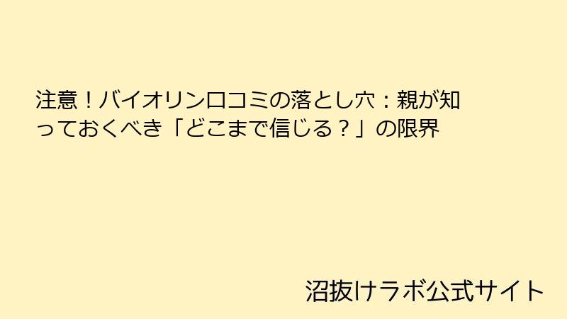 注意！バイオリン口コミの落とし穴：親が知っておくべき「どこまで信じる？」の限界