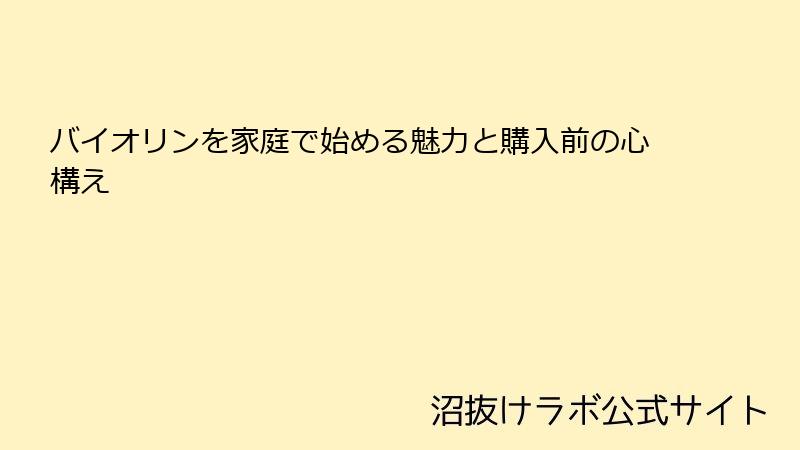 バイオリンを家庭で始める魅力と購入前の心構え