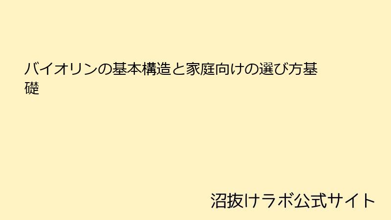 バイオリンの基本構造と家庭向けの選び方基礎