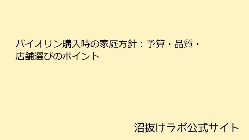 バイオリン購入時の家庭方針：予算・品質・店舗選びのポイント