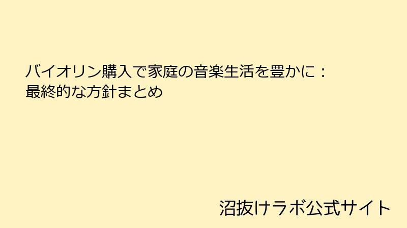 バイオリン購入で家庭の音楽生活を豊かに：最終的な方針まとめ