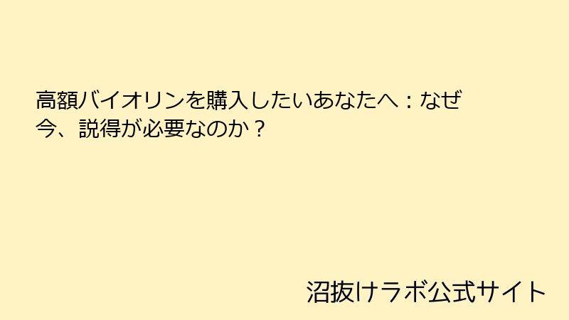 高額バイオリンを購入したいあなたへ：なぜ今、説得が必要なのか？