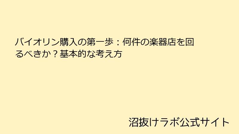 バイオリン購入の第一歩：何件の楽器店を回るべきか？基本的な考え方