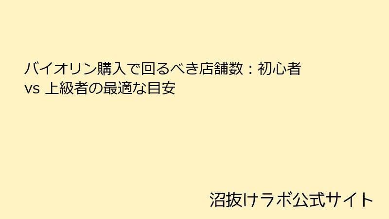 バイオリン購入で回るべき店舗数：初心者 vs 上級者の最適な目安