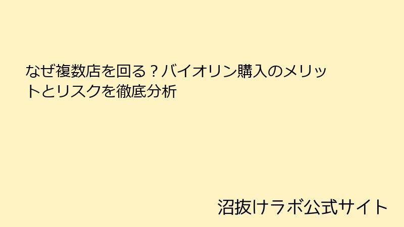 なぜ複数店を回る？バイオリン購入のメリットとリスクを徹底分析