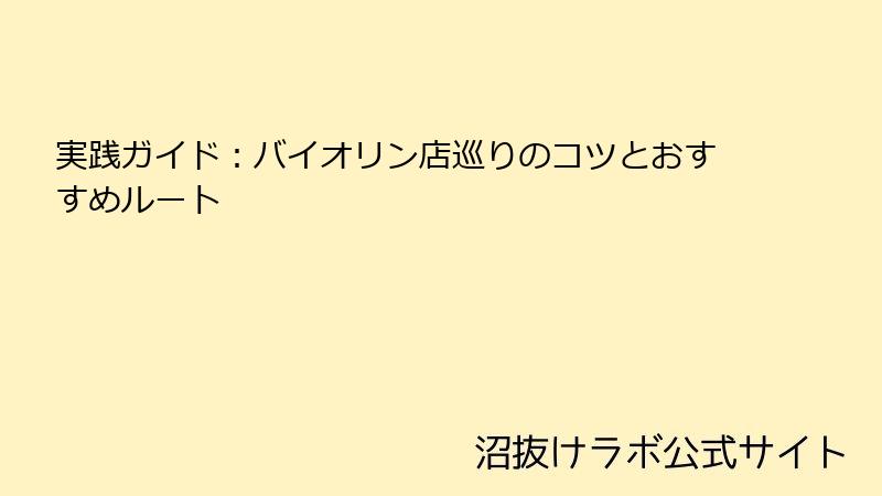 実践ガイド：バイオリン店巡りのコツとおすすめルート