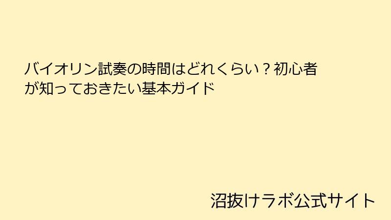 バイオリン試奏の時間はどれくらい？初心者が知っておきたい基本ガイド
