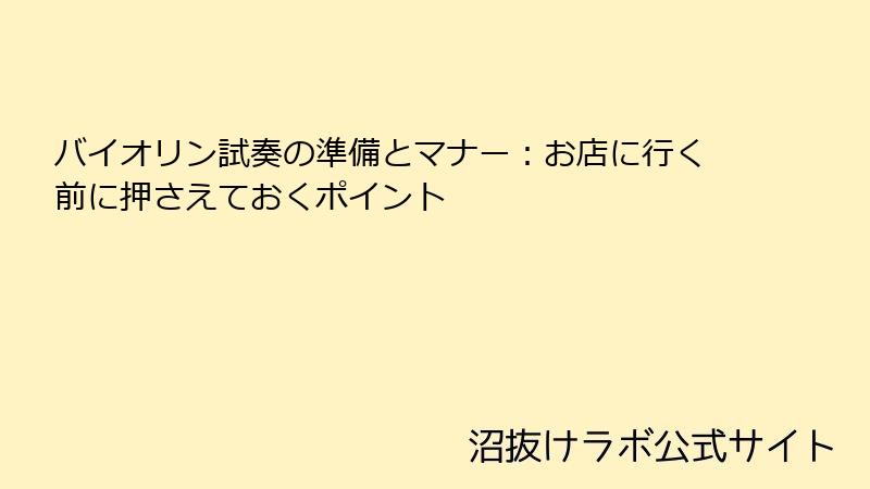 バイオリン試奏の準備とマナー：お店に行く前に押さえておくポイント