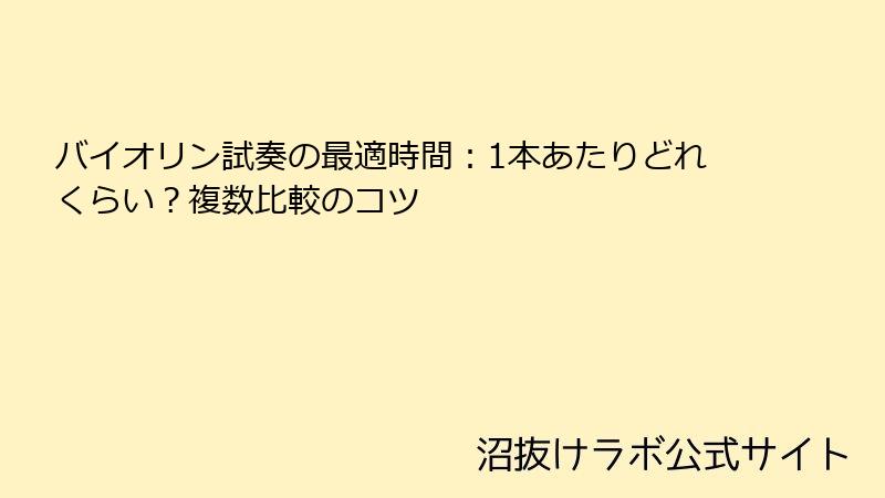 バイオリン試奏の最適時間：1本あたりどれくらい？複数比較のコツ