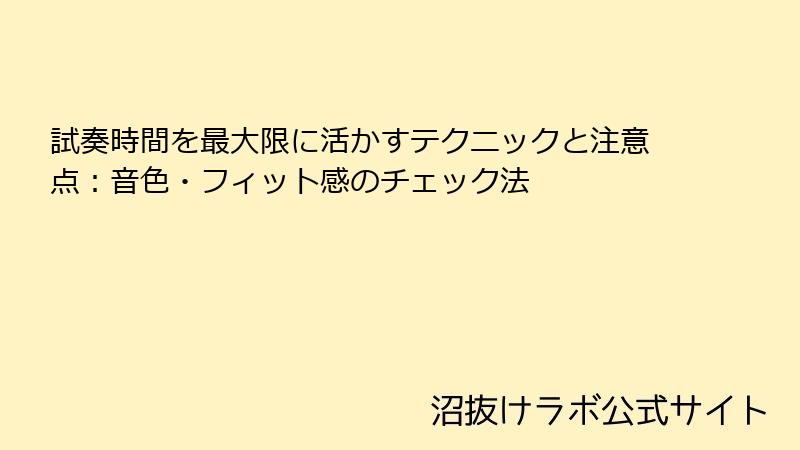 試奏時間を最大限に活かすテクニックと注意点：音色・フィット感のチェック法