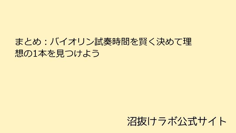 まとめ：バイオリン試奏時間を賢く決めて理想の1本を見つけよう