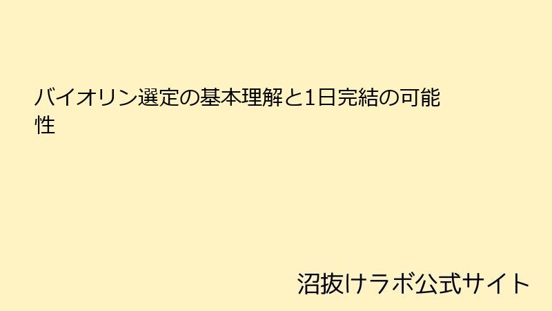 バイオリン選定の基本理解と1日完結の可能性