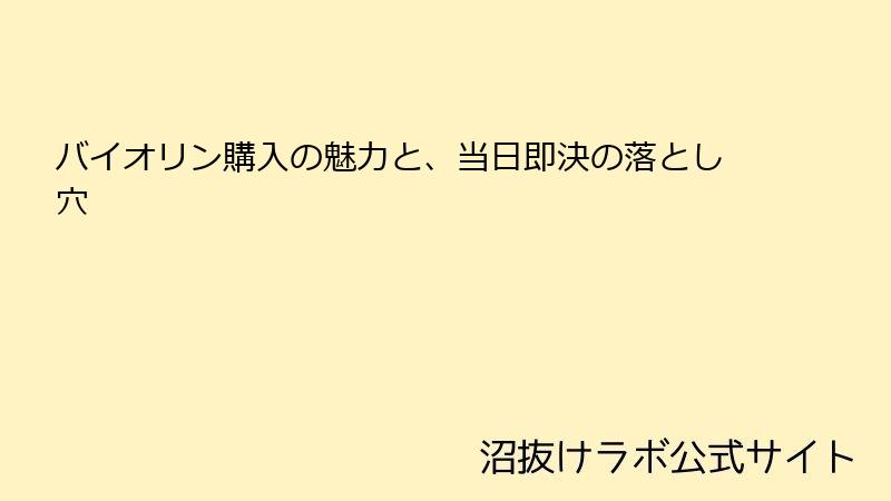 バイオリン購入の魅力と、当日即決の落とし穴