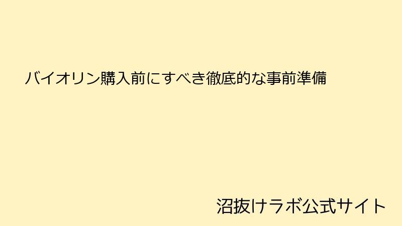 バイオリン購入前にすべき徹底的な事前準備
