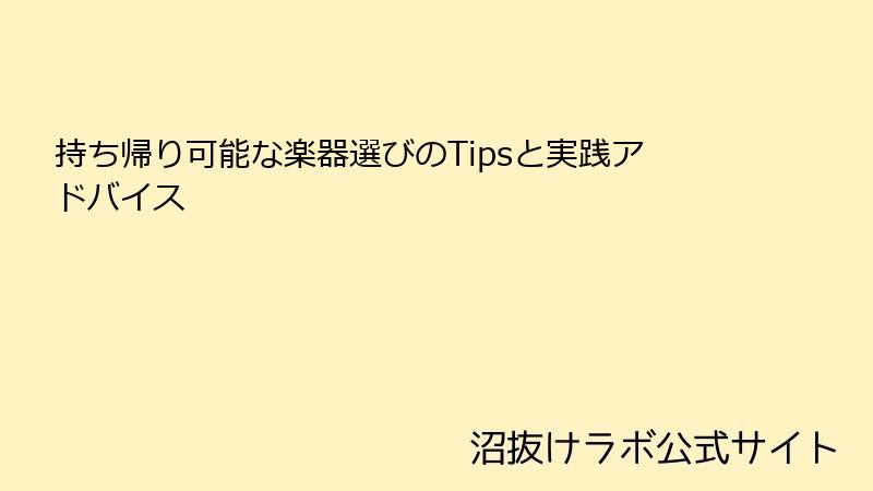 持ち帰り可能な楽器選びのTipsと実践アドバイス