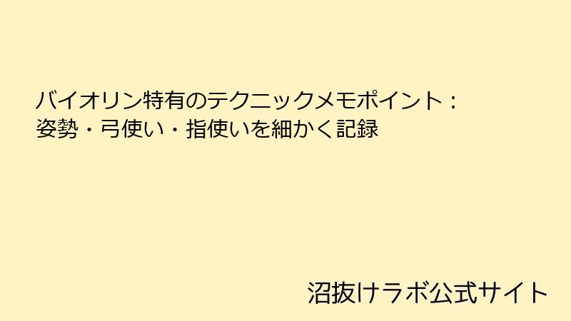 バイオリン特有のテクニックメモポイント：姿勢・弓使い・指使いを細かく記録