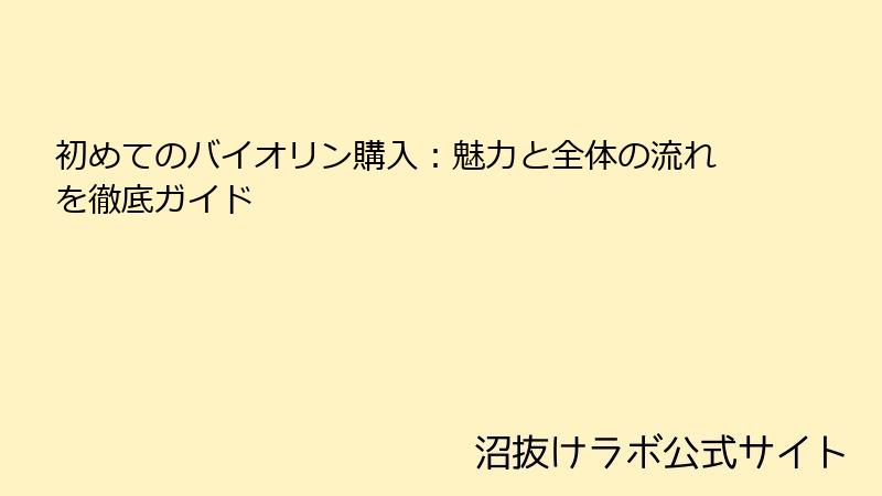 初めてのバイオリン購入：魅力と全体の流れを徹底ガイド