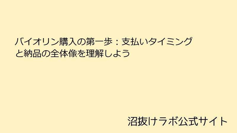 バイオリン購入の第一歩：支払いタイミングと納品の全体像を理解しよう