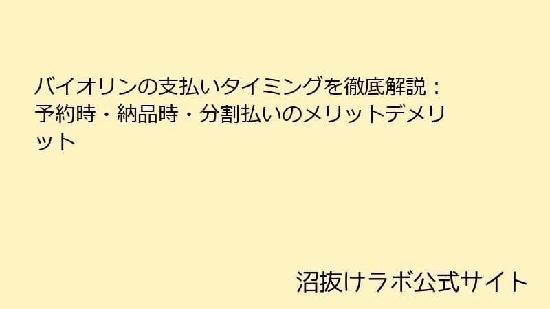 バイオリンの支払いタイミングを徹底解説：予約時・納品時・分割払いのメリットデメリット