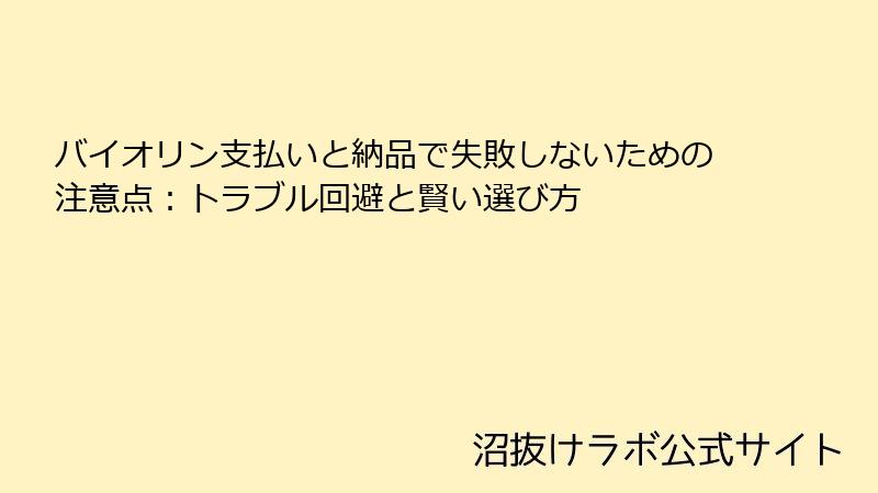 バイオリン支払いと納品で失敗しないための注意点：トラブル回避と賢い選び方