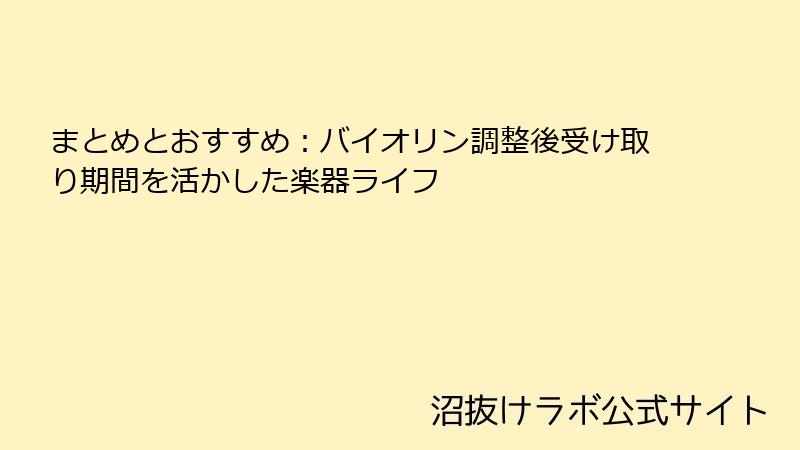まとめとおすすめ：バイオリン調整後受け取り期間を活かした楽器ライフ