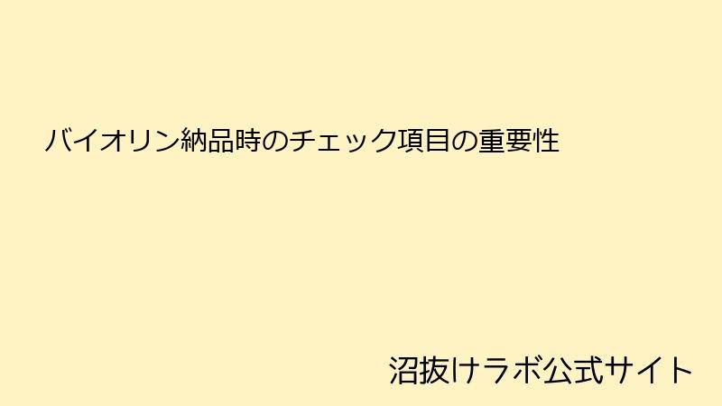 バイオリン納品時のチェック項目の重要性