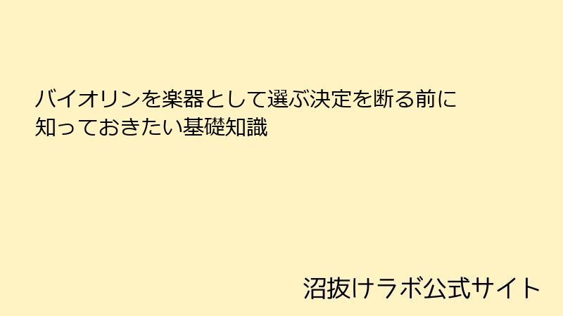 バイオリンを楽器として選ぶ決定を断る前に知っておきたい基礎知識