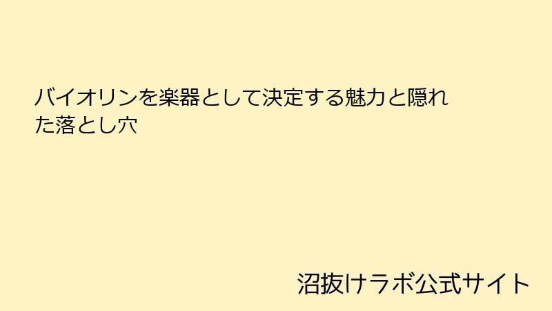 バイオリンを楽器として決定する魅力と隠れた落とし穴