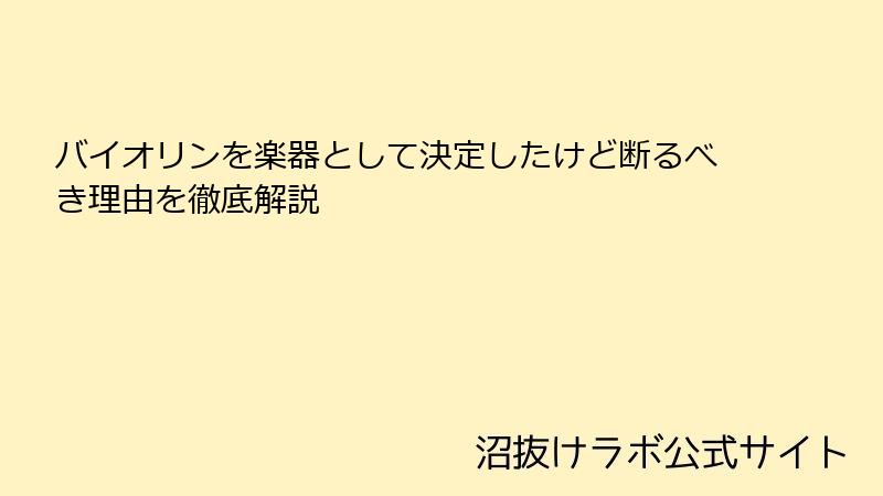バイオリンを楽器として決定したけど断るべき理由を徹底解説