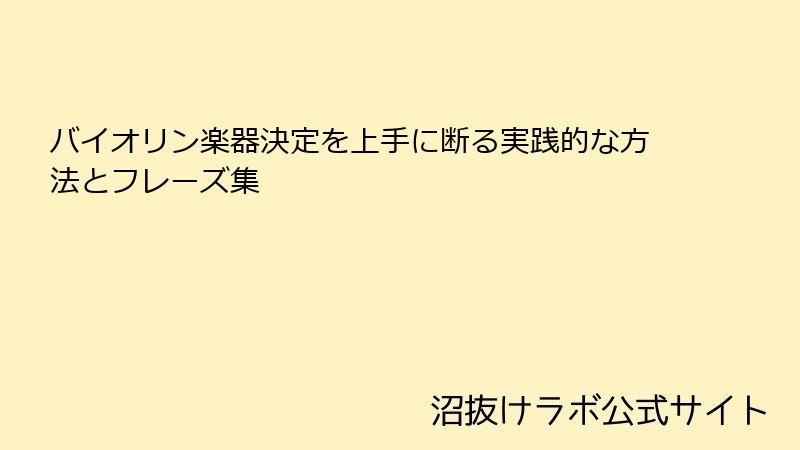 バイオリン楽器決定を上手に断る実践的な方法とフレーズ集