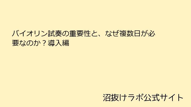 バイオリン試奏の重要性と、なぜ複数日が必要なのか？導入編