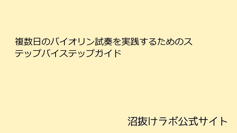 複数日のバイオリン試奏を実践するためのステップバイステップガイド