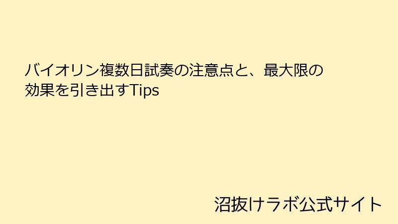 バイオリン複数日試奏の注意点と、最大限の効果を引き出すTips