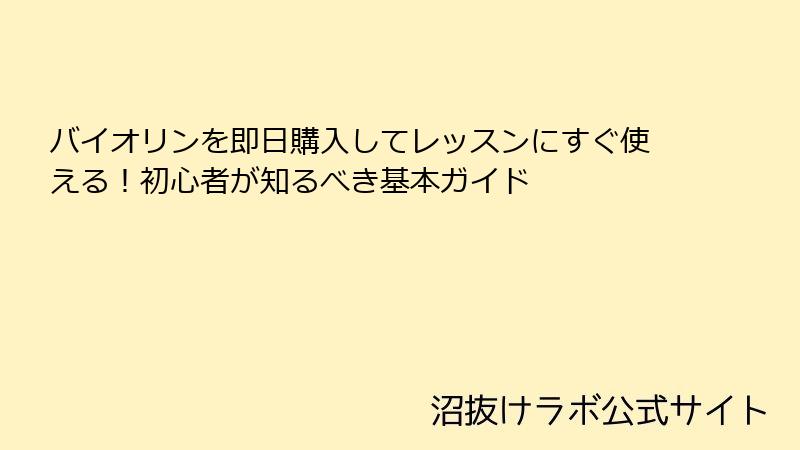 バイオリンを即日購入してレッスンにすぐ使える！初心者が知るべき基本ガイド