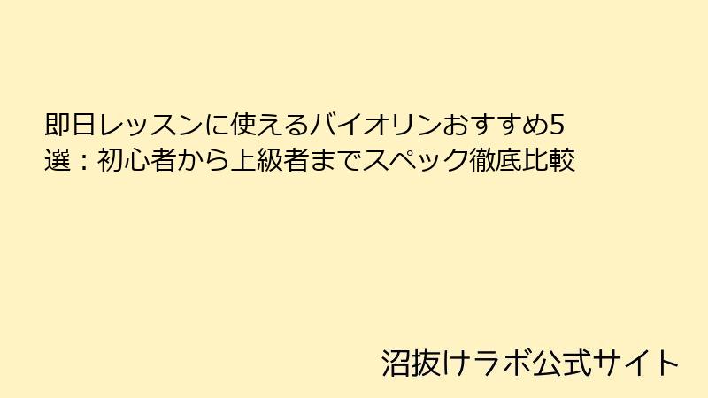 即日レッスンに使えるバイオリンおすすめ5選：初心者から上級者までスペック徹底比較