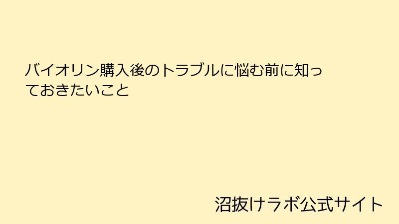 バイオリン購入後のトラブルに悩む前に知っておきたいこと
