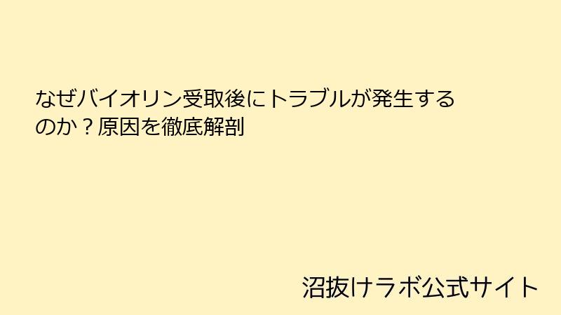 なぜバイオリン受取後にトラブルが発生するのか？原因を徹底解剖
