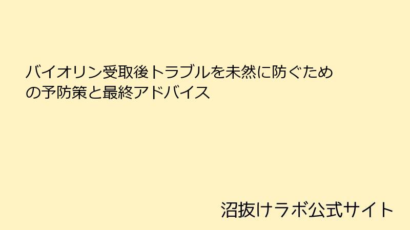 バイオリン受取後トラブルを未然に防ぐための予防策と最終アドバイス
