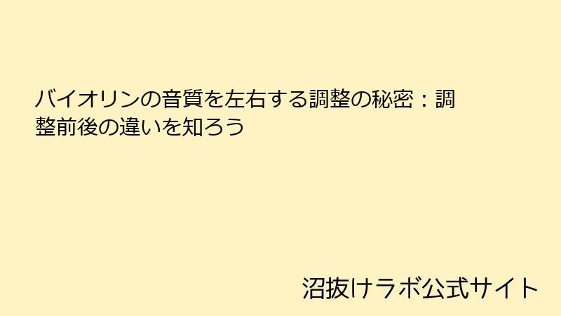 バイオリンの音質を左右する調整の秘密：調整前後の違いを知ろう