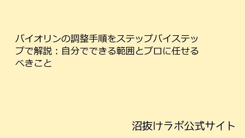 バイオリンの調整手順をステップバイステップで解説：自分でできる範囲とプロに任せるべきこと