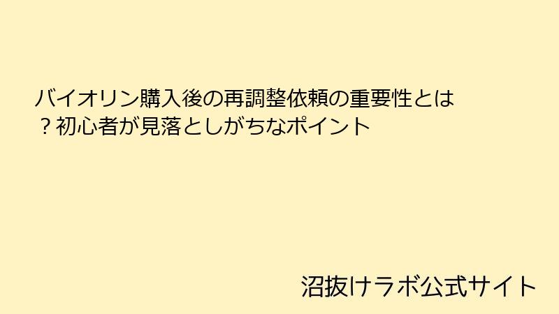 バイオリン購入後の再調整依頼の重要性とは?初心者が見落としがちなポイント