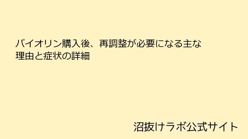 バイオリン購入後、再調整が必要になる主な理由と症状の詳細
