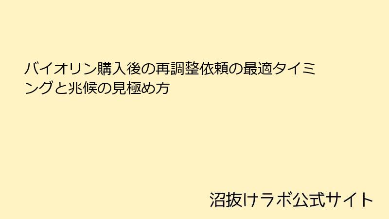 バイオリン購入後の再調整依頼の最適タイミングと兆候の見極め方